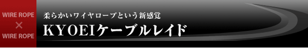 _炩C[vƂVouKYOEIP[uChv